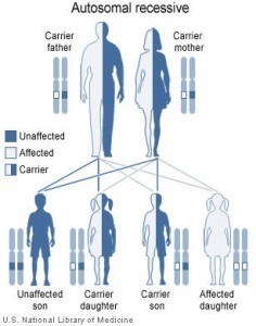 Autosomal recessive disorder - Pathology MCQ « PG Blazer